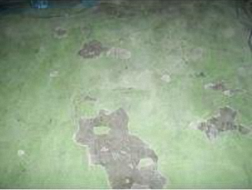 滄晟地坪漆_廠房地坪為何要進(jìn)行翻新的五大項！